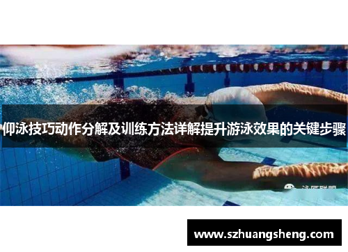 仰泳技巧动作分解及训练方法详解提升游泳效果的关键步骤