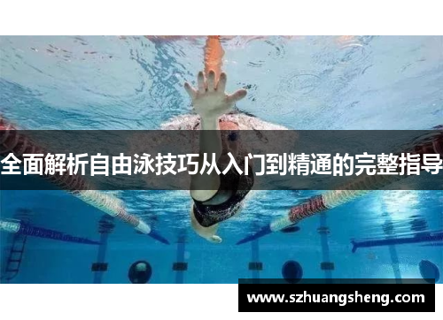 全面解析自由泳技巧从入门到精通的完整指导